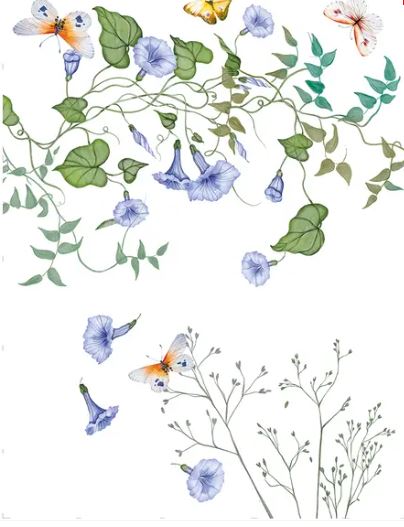 VALLESUSA Strofinaccio Ipomea 50x75 Campanula