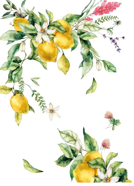 VALLESUSA Strofinaccio Citrus 50x75 Limonata