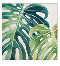 S&G Cuscino arredo Leman 45x45 Verde Quadrato