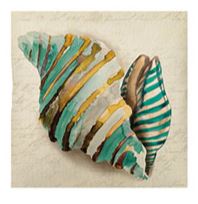 S&G Cuscino arredo Petra 45x45 Conchiglia Quadrato